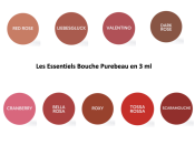 Kit Les Essentiels Bouche PUREBEAU en 3 ml